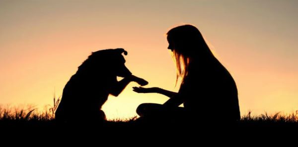 relation-chien