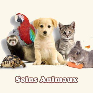 Soins énergétiques et fleurs de Bach aux animaux