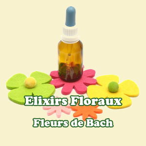 Conseils en Fleurs de Bach