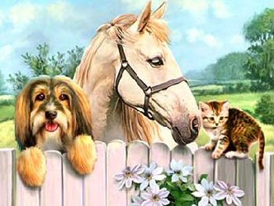 4 Hours Of Playtime Music For Kittens Socialise Your Kitten